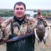 ���������� ��������, ���� ������� ������, 44 ����, ������������ ��� ������, ����� � ���������, c�������� ���������