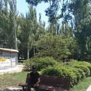  ,   , 36 ,   ,   