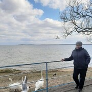  ,   , 60 ,   ,   