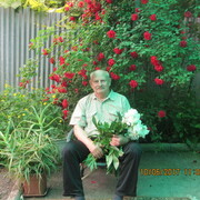  ,   , 71 ,   ,   