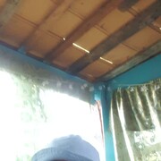  ,    Psix, 42 ,   ,   , c 
