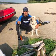 ���������� �����������, ���� ������� ������, 31 ���, ������������ ��� ������, ����� � ���������, c�������� ���������