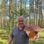  -,   , 49 ,     , c 