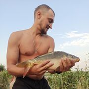 ���������� ���������, ���� ������� ��������, 38 ���, ������������ ��� ������, ����� � ���������