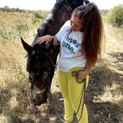 ���������� �������, ���� ������� �����, 37 ���, ������������ ��� c�������� ���������, ���������