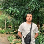 ���������� ������, ���� ������� Said, 29 ���, ������������ ��� ������, ����� � ���������