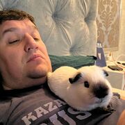 ���������� ������, ���� ������� ���������, 42 ����, ������������ ��� ������, ���������