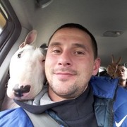  ,   , 38 ,  