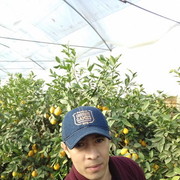  -,   , 41 ,   ,   , c 