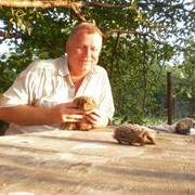 ���������� ������, ���� ������� �����, 68 ���, ������������ ��� ����� � ���������, c�������� ���������