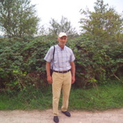  ,   , 65 ,   ,   , 