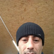  ,   , 41 ,   