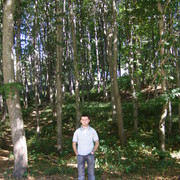  ,   , 30 ,   