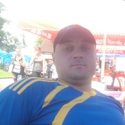   ,   , 41 ,   