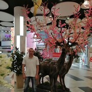  ,   , 49 ,     , 