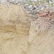 ���������� ����� �������, ���� ������� �������, 44 ����, ������������ ��� ����� � ���������, c�������� ���������, ���������