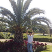  ,   , 41 ,     , c 