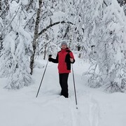 ���������� ������, ���� ������� ��������, 62 ����, ������������ ��� ������, ����� � ���������, c�������� ���������