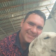 ���������� �������, ���� ������� �����, 37 ���, ������������ ��� ������, ����� � ���������, c�������� ���������, ���������