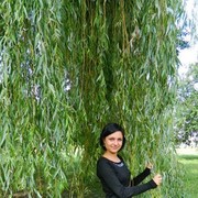 ���������� ��������, ���� ������� ���������, 36 ���, ������������ ��� ������