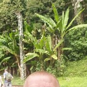  ,   , 51 ,   ,   