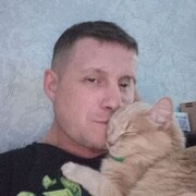 ���������� ������, ������� ���������, 44