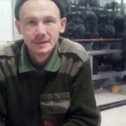  -,   Wolf, 41 ,   ,   , c 