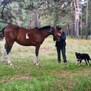 � ����� ���� ����� ������� �������� ������