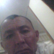  ,   Bek, 44 ,   ,   , c 