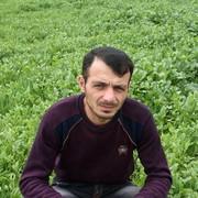  ,   , 33 ,     , c , 