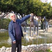 ���������� �����������, ���� ������� ������, 64 ����, ������������ ��� ������, ����� � ���������