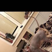  ,   , 35 ,   ,   
