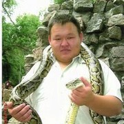 ���������� ���������, ���� ������� ��������, 38 ���, ������������ ��� ������, ����� � ���������, c�������� ���������