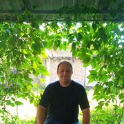  ,   , 44 ,   ,   , 