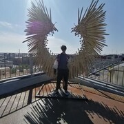  -,   , 21 ,   ,   