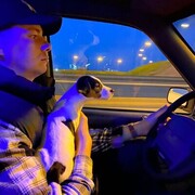 ���������� ������, ���� ������� ������, 34 ����, ������������ ��� ������, ����� � ���������, c�������� ���������, ���������