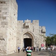 ���������. �������