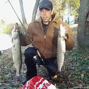 ���������� ����, ���� ������� ��������, 49 ���, ������������ ��� c�������� ���������, ���������