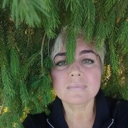  -,   , 51 ,   