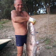 ���������� ������, ���� ������� ���������, 52 ����, ������������ ��� ������