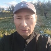  ,  , 44