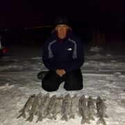 ���������� ����, ���� ������� ������, 38 ���, ������������ ��� ������, ����� � ���������