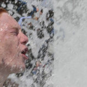 ���������� ����, ���� ������� �����, 38 ���, ������������ ��� ������