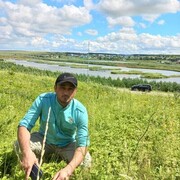 ���������� ���, ���� ������� �����, 37 ���, ������������ ��� ������, ����� � ���������