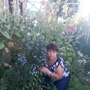  ,   , 54 ,   
