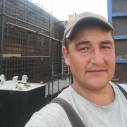  ,   , 33 ,   ,   