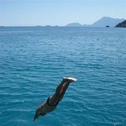 ���������� ������, ���� ������� �������, 46 ���, ������������ ��� ������