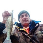  ,   , 70 ,   c , 