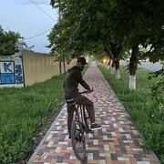  ,   , 33 ,   ,   