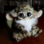 ���������� ��������, ���� ������� ����, 47 ���, ������������ 